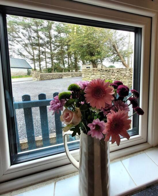 Killawalla Cottage, Westport. Экстерьер фото